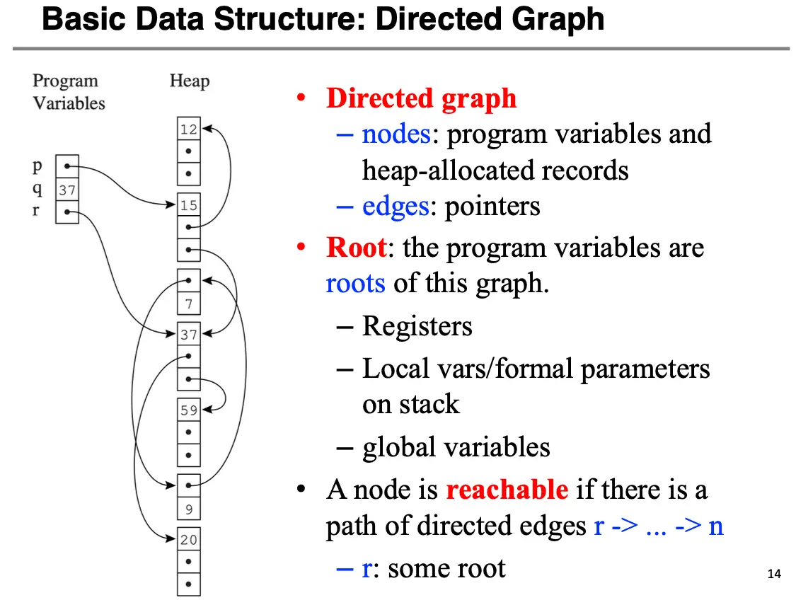 Directed Graph